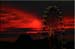 Big-Wheel-of-Fire-II